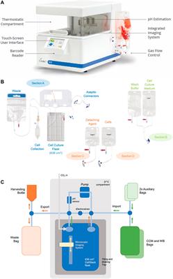 GMP-Compliant Production of Autologous Adipose-Derived Stromal Cells in the NANT 001 Closed Automated Bioreactor